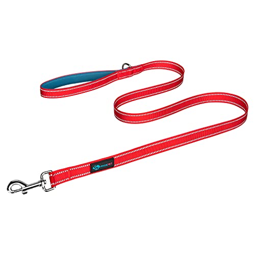 PHOEPET 152 cm lange Hundeleine mit bequemem, gepolstertem Griff, einfacher Schnappverschluss, reflektierende Hundeleine für große, mittelgroße und kleine Hunderassen (rot + blaugrün) von PHOEPET