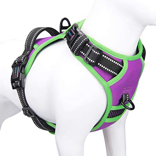 PHOEPET 2019 Anti-Zieh-Hundegeschirr, verbessert, reflektierend, verstellbar, mit Trainingsgriff, 2 Metall-Leinenhaken, 3 Schnappschnallen, 4 Schiebeschnallen (L, Lila) von PHOEPET
