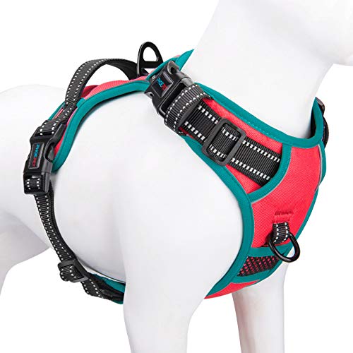 PHOEPET 2019 Anti-Zieh-Hundegeschirr, verbessert, reflektierend, verstellbar, mit Trainingsgriff, 2 Metall-Leinenhaken, 3 Schnappschnallen, 4 Schiebeschnallen (S, Rot) von PHOEPET