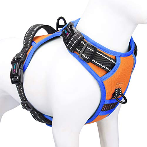 PHOEPET 2019 Anti-Zieh-Hundegeschirr für kleine Hunde, reflektierend, verstellbar, mit Clip an der Vorderseite, Weste mit Griff, 2 Metallringe, 3 Schnallen, einfach an- und auszuziehen (S, Orange) von PHOEPET