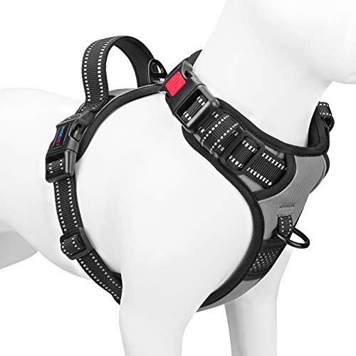 PHOEPET Anti-Zieh-Hundegeschirr, reflektierend, verstellbar, mit Clip an der Vorderseite, Weste mit Griff, 2 Metallringe, 3 Schnallen, einfach an- und auszuziehen, Größe M, Grau PHOEPET Anti-Zieh-Hundegeschirr, reflektierend, verstellbar, mit Clip an der Vorderseite, Weste mit Griff, 2 Metallringe, 3 Schnallen, einfach an- und auszuziehen, Größe M, Grau von PHOEPET