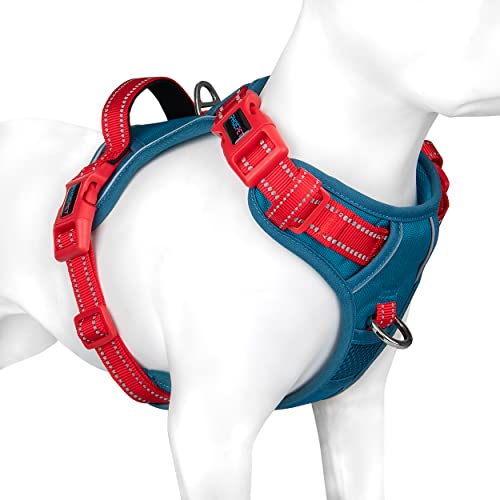 PHOEPET Anti-Zieh-Hundegeschirr, tolle Farben, reflektierend, mit weichem Trainingsgriff und Metall-Leinenhaken, für kleine, mittelgroße und große Hunde (XS, blaugrünes Geschirr & rote Gurte) von PHOEPET