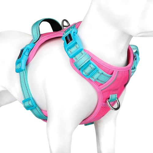 PHOEPET Hundegeschirr gegen Ziehen, in einzigartigen Farben, verstellbar, reflektierend, kein Würgen, mit leicht zu kontrollierendem Griff und Metallclips für kleine, mittelgroße und große Hunde (rosa PHOEPET Hundegeschirr gegen Ziehen, in einzigartigen Farben, verstellbar, reflektierend, kein Würgen, mit leicht zu kontrollierendem Griff und Metallclips für kleine, mittelgroße und große Hunde (rosa von PHOEPET