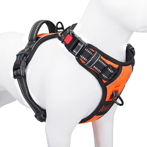 PHOEPET Hundegeschirr ohne Zug für kleine Hunde Reflektierende Weste mit verstellbarem Clip vorne mit Griff 2 Metallringe 3 Schnallen [Einfach an- und auszuziehen] (M, Orange) von PHOEPET