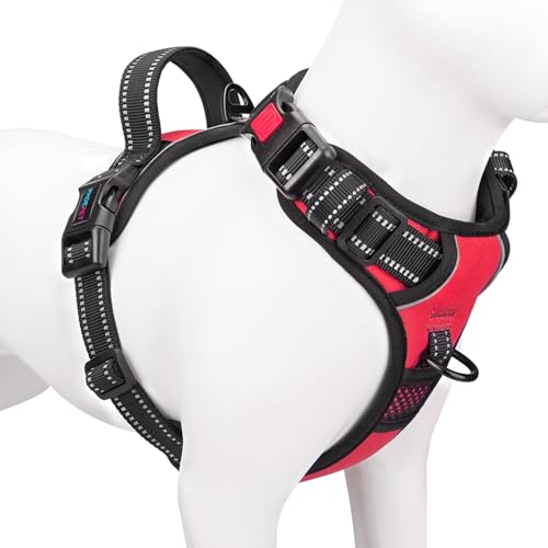 PHOEPET Hundegeschirr ohne Zug für kleine Hunde Reflektierende Weste mit verstellbarem Clip vorne mit Griff 2 Metallringe 3 Schnallen [Einfach an- und auszuziehen] (XL, Rot) von PHOEPET