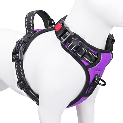 PHOEPET Hundegeschirre ohne Ziehen für kleine Hunde, reflektierend, verstellbare Front-Clip-Weste mit Griff, 2 Metallringe, 3 Schnallen [leicht an- und auszuziehen] (XL, Violett) von PHOEPET