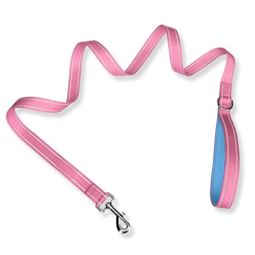 PHOEPET Hundeleine, 152 cm, doppelseitig, reflektierend, weich gepolsterter Griff, geeignet zum Spazierengehen, Training oder Erkunden von Wandern, Camping (Babyrosa + blaue Basis) von PHOEPET