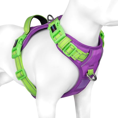 PHOEPET No Pull Hundegeschirr, reflektierende Hundeweste, mit weichem Trainingsgriff für kleine, mittelgroße und große Hunde (Violett Basis und Grüne Träger, XL) von PHOEPET