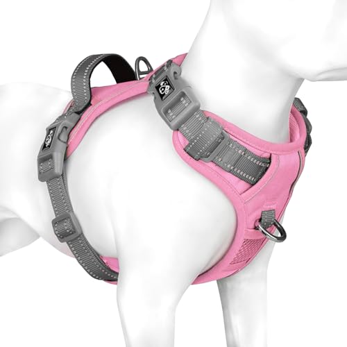 PHOEPET No Pull Hundewestengeschirr, verstellbares, reflektierendes, Nicht erstickendes Haustiergeschirr mit einfach zu bedienendem Griff und Metallklammern für Hunde(Babyrosa Basis & graue Träger,L PHOEPET No Pull Hundewestengeschirr, verstellbares, reflektierendes, Nicht erstickendes Haustiergeschirr mit einfach zu bedienendem Griff und Metallklammern für Hunde(Babyrosa Basis & graue Träger,L von PHOEPET
