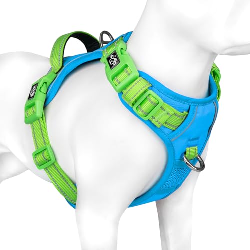 PHOEPET No Pull Hundewestengeschirr, verstellbares, reflektierendes, Nicht erstickendes Haustiergeschirr mit einfach zu bedienendem Griff und Metallklammern für Hunde(Blaue Basis & Grüne Träger,S PHOEPET No Pull Hundewestengeschirr, verstellbares, reflektierendes, Nicht erstickendes Haustiergeschirr mit einfach zu bedienendem Griff und Metallklammern für Hunde(Blaue Basis & Grüne Träger,S von PHOEPET
