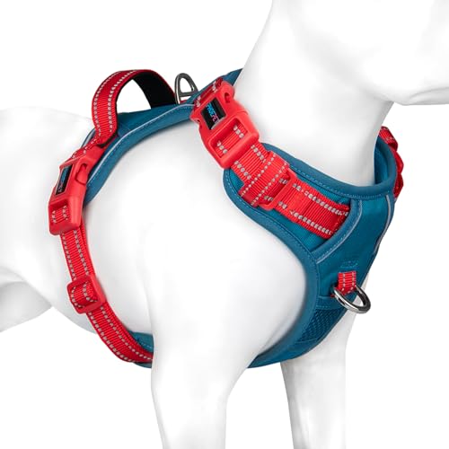 PHOEPET No Pull Hundewestengeschirr, verstellbares, reflektierendes, Nicht erstickendes Haustiergeschirr mit einfach zu bedienendem Griff und Metallklammern für Hunde(Blaugrüne Basis & Rote Träger,L PHOEPET No Pull Hundewestengeschirr, verstellbares, reflektierendes, Nicht erstickendes Haustiergeschirr mit einfach zu bedienendem Griff und Metallklammern für Hunde(Blaugrüne Basis & Rote Träger,L von PHOEPET