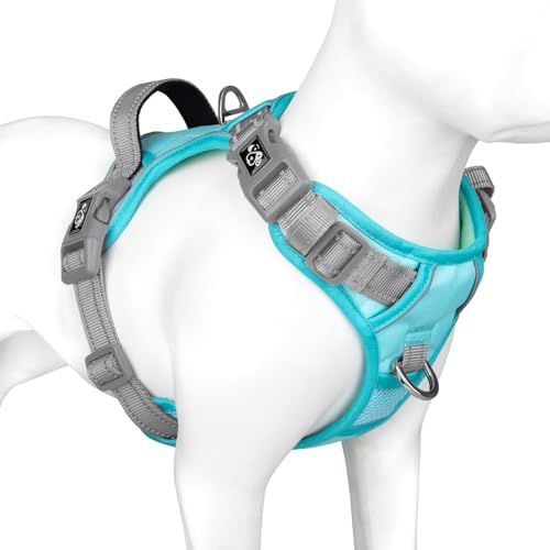 PHOEPET No Pull Hundewestengeschirr, verstellbares, reflektierendes, Nicht erstickendes Haustiergeschirr mit einfach zu bedienendem Griff und Metallklammern für Hunde(Mintgrüne Basis & Grau Träger,L PHOEPET No Pull Hundewestengeschirr, verstellbares, reflektierendes, Nicht erstickendes Haustiergeschirr mit einfach zu bedienendem Griff und Metallklammern für Hunde(Mintgrüne Basis & Grau Träger,L von PHOEPET