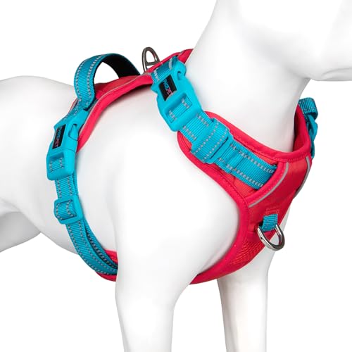 PHOEPET No Pull Hundewestengeschirr, verstellbares, reflektierendes, Nicht erstickendes Haustiergeschirr mit einfach zu bedienendem Griff und Metallklammern für Hunde(Rote Basis & blaugrüne Träger,M) PHOEPET No Pull Hundewestengeschirr, verstellbares, reflektierendes, Nicht erstickendes Haustiergeschirr mit einfach zu bedienendem Griff und Metallklammern für Hunde(Rote Basis & blaugrüne Träger,M) von PHOEPET