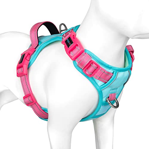 PHOEPET No Pull Hundewestengeschirr, verstellbares, reflektierendes, nicht erstickendes Haustiergeschirr mit einfach zu bedienendem Griff und Metallklammern für Hunde Dunkelgrüne Basis & rote Träger,M PHOEPET No Pull Hundewestengeschirr, verstellbares, reflektierendes, nicht erstickendes Haustiergeschirr mit einfach zu bedienendem Griff und Metallklammern für Hunde Dunkelgrüne Basis & rote Träger,M von PHOEPET