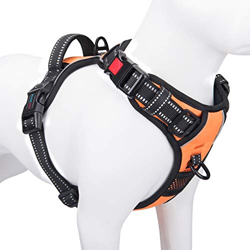 Phoepet Anti-Zieh-Hundegeschirr, reflektierend, verstellbar, mit Clip an der Vorderseite, Weste mit Griff, 2 Metallringe, 3 Schnallen, einfach an- und auszuziehen, für kleine Hunde, Größe XS, Schwarz Phoepet Anti-Zieh-Hundegeschirr, reflektierend, verstellbar, mit Clip an der Vorderseite, Weste mit Griff, 2 Metallringe, 3 Schnallen, einfach an- und auszuziehen, für kleine Hunde, Größe XS, Schwarz von PHOEPET