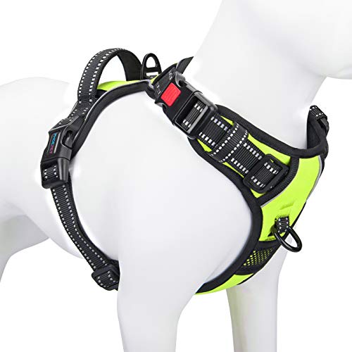 Phoepet Anti-Zieh-Hundegeschirr, reflektierend, verstellbar, mit Trainingsgriff, Namensausweisfach, 2 Metall-Leinenhaken, 3 Schnappschnallen, einfaches Anziehen und Abnehmen, L, grün Phoepet Anti-Zieh-Hundegeschirr, reflektierend, verstellbar, mit Trainingsgriff, Namensausweisfach, 2 Metall-Leinenhaken, 3 Schnappschnallen, einfaches Anziehen und Abnehmen, L, grün von PHOEPET