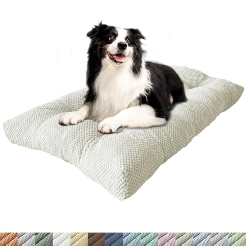 PHUSTJKL Hundebett Mittelgroße Kleine Hunde, 45x30x8cm Waschbar Hundekissen mit Rutschfester Unterseite, Flauschiges Atmungsaktiv Superweich Katzenbett Haustierbett Hundematratze-Beige PHUSTJKL Hundebett Mittelgroße Kleine Hunde, 45x30x8cm Waschbar Hundekissen mit Rutschfester Unterseite, Flauschiges Atmungsaktiv Superweich Katzenbett Haustierbett Hundematratze-Beige von PHUSTJKL