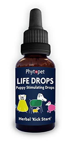 PhytoPet Lebens-Tropfen | Natürlicher Kräuterstimulant für Neugeborene & Ältere Haustiere | Ideal für Welpen, Kätzchen, Vögel, Fohlen | 10ml PhytoPet Lebens-Tropfen | Natürlicher Kräuterstimulant für Neugeborene & Ältere Haustiere | Ideal für Welpen, Kätzchen, Vögel, Fohlen | 10ml von PHYTOPET
