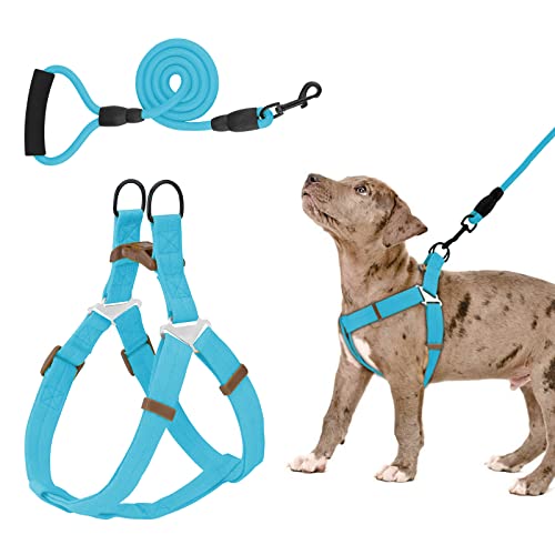 Piang Gouer Hundegeschirr und Leinen-Set ， Verstellbares, bequemes Hals Balance Hundehalftergeschirr für kleine, mittelgroße Hunde, kein Ziehen, einfaches Gehen, Hundegeschirr(Blau-L) von PIANG GOUER