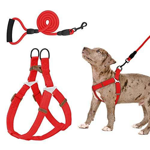 Piang Gouer Hundegeschirr und Leinen-Set ， Verstellbares, bequemes Hals Balance Hundehalftergeschirr für kleine, mittelgroße Hunde, kein Ziehen, einfaches Gehen, Hundegeschirr(Rot-XL) von PIANG GOUER