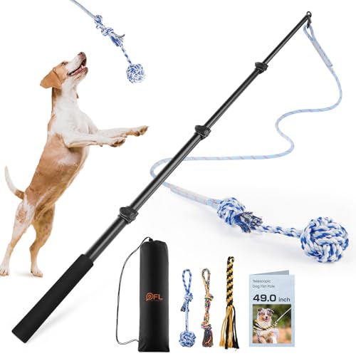 Flirtstange für Hunde, ausziehbar, mit abnehmbarem interaktivem Spielzeug, Flirtstab für kleine, mittelgroße und große Hunde, Training und Spielübungen (Stange, max. 124,5 cm) von PICK FOR LIFE