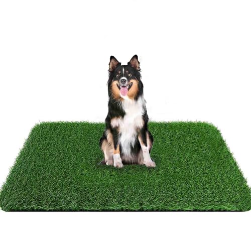 Graspolster für Hunde, 150,1 x 100,1 cm, starke Saugfähigkeit, weiches und echtes Gras für Haustiere, Töpfchentraining, leicht zu reinigen, Kunstrasen für Hunde, Innen- und Außenbereich (1 Packung) von PICK FOR LIFE