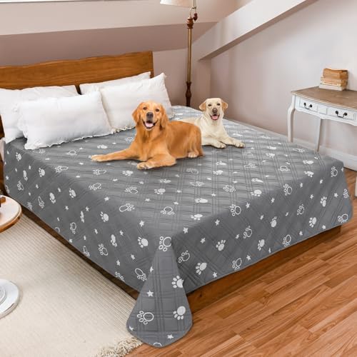 PICK FOR LIFE 172x208cm wasserdichter Hundedecken, waschbare Haustierdecken für Hunde, rutschfeste Welpen Unterlagen bieten umfassende Abdeckung und Schutz für Ihre Sofa, Bett, Autositz PICK FOR LIFE 172x208cm wasserdichter Hundedecken, waschbare Haustierdecken für Hunde, rutschfeste Welpen Unterlagen bieten umfassende Abdeckung und Schutz für Ihre Sofa, Bett, Autositz von PICK FOR LIFE
