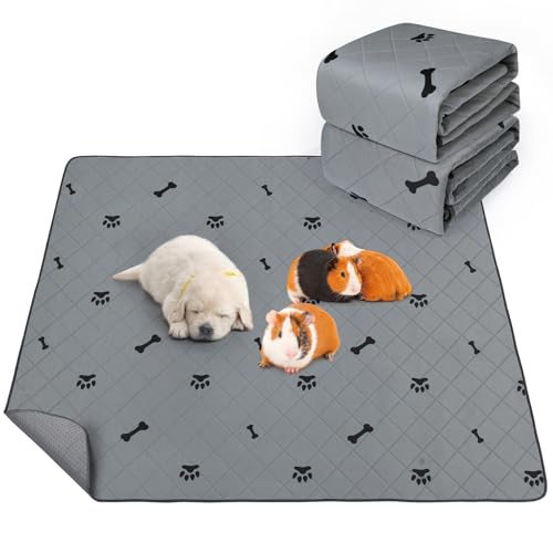 PICK FOR LIFE Saugfähige PIPI Pads für Meerschweinchen, 2 Stück 90x120cm Waschbare PIPI Pads für Kaninchen, Wiederverwendbare PIPI Matten, Unterlagen für Hamster, Kaninchen, Hunde PICK FOR LIFE Saugfähige PIPI Pads für Meerschweinchen, 2 Stück 90x120cm Waschbare PIPI Pads für Kaninchen, Wiederverwendbare PIPI Matten, Unterlagen für Hamster, Kaninchen, Hunde von PICK FOR LIFE
