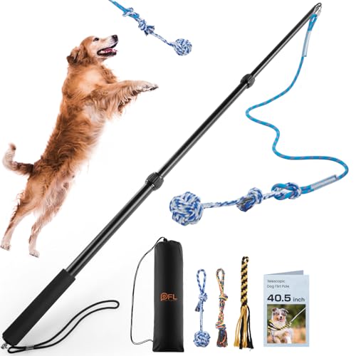 PICK FOR LIFE Aktualisiert Reizangel Hunde, Profi Reizangel für Hunde längenverstellbar mit 3 Hundespielzeug Seil, Interaktives Hundespielzeug für Training, Verstärkte Aluminiumlegierung Reizangel PICK FOR LIFE Aktualisiert Reizangel Hunde, Profi Reizangel für Hunde längenverstellbar mit 3 Hundespielzeug Seil, Interaktives Hundespielzeug für Training, Verstärkte Aluminiumlegierung Reizangel von PICK FOR LIFE