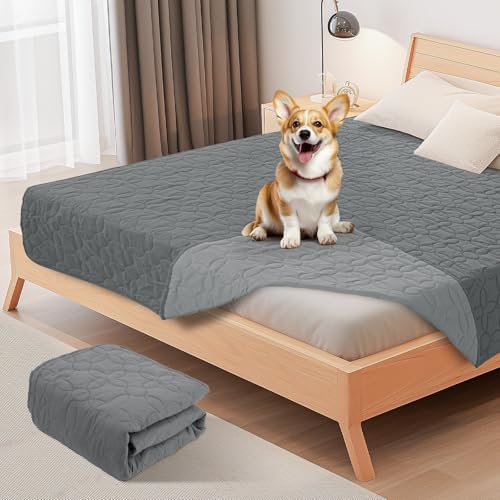 PICK FOR LIFE wasserdichte Hundedecke, beidseitig verwendbare Haustierdecke als Schutz für Sofa, Bett und Auto – waschbare Hundematte für große und kleine Hunde sowie Katzen PICK FOR LIFE wasserdichte Hundedecke, beidseitig verwendbare Haustierdecke als Schutz für Sofa, Bett und Auto – waschbare Hundematte für große und kleine Hunde sowie Katzen von PICK FOR LIFE