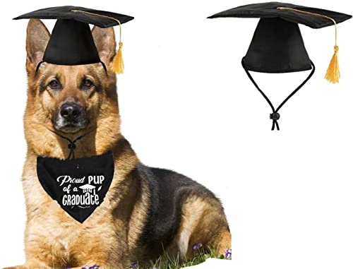 Hunde-Abschlusskappe mit gelber Quaste und Bandana für den Abschluss von PICKUPIK