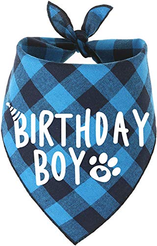 Hunde-Geburtstags-Halstuch für Jungen, Orange von PICKUPIK