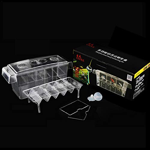 PIGMAMA Fish Breeding Box Tank for Fish Transparent Fish Breeder Box Fish Egg Hatchery Young Fish Isolation Box Ablaichkasten Aus Acryl, Aquarium Fisch Züchter Brutplatz, Brutstätte Für Handsome von PIGMAMA