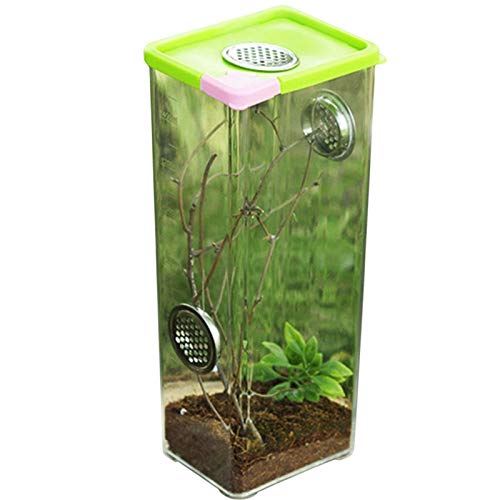 PIGMANA Insekten-Fütterungsbox, Reptilien-Zuchtbox Klare Acryl-Reptilien-Terrarium-Fütterungsbox Für Spide, Eidechse, Skorpion, Hundertfüßer, Gehörnter Frosch, Käfer Friendly PIGMANA Insekten-Fütterungsbox, Reptilien-Zuchtbox Klare Acryl-Reptilien-Terrarium-Fütterungsbox Für Spide, Eidechse, Skorpion, Hundertfüßer, Gehörnter Frosch, Käfer Friendly von PIGMANA