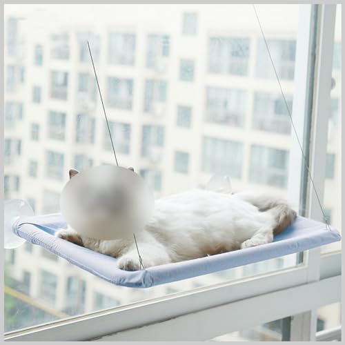 Hängematte mit hängendem Fenster, Katzensitz, Hängebett für Haustiere, Katzenhängematte mit Saugnapf, Sonnenbaden, kratzfestes Nickerchen,Blau,55 * 35CM Hängematte mit hängendem Fenster, Katzensitz, Hängebett für Haustiere, Katzenhängematte mit Saugnapf, Sonnenbaden, kratzfestes Nickerchen,Blau,55 * 35CM von PIKETU
