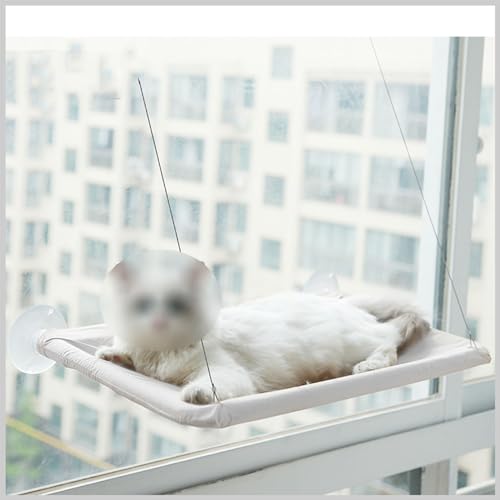Hängematte mit hängendem Fenster, Katzensitz, Hängebett für Haustiere, Katzenhängematte mit Saugnapf, Sonnenbaden, kratzfestes Nickerchen,Grau,55 * 35CM Hängematte mit hängendem Fenster, Katzensitz, Hängebett für Haustiere, Katzenhängematte mit Saugnapf, Sonnenbaden, kratzfestes Nickerchen,Grau,55 * 35CM von PIKETU