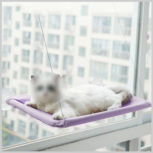 Hängematte mit hängendem Fenster, Katzensitz, Hängebett für Haustiere, Katzenhängematte mit Saugnapf, Sonnenbaden, kratzfestes Nickerchen,Lila,55 * 35CM Hängematte mit hängendem Fenster, Katzensitz, Hängebett für Haustiere, Katzenhängematte mit Saugnapf, Sonnenbaden, kratzfestes Nickerchen,Lila,55 * 35CM von PIKETU