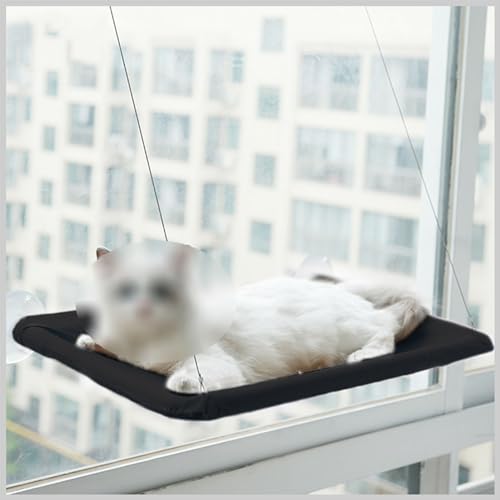 Hängematte mit hängendem Fenster, Katzensitz, Hängebett für Haustiere, Katzenhängematte mit Saugnapf, Sonnenbaden, kratzfestes Nickerchen,Schwarz,55 * 35CM Hängematte mit hängendem Fenster, Katzensitz, Hängebett für Haustiere, Katzenhängematte mit Saugnapf, Sonnenbaden, kratzfestes Nickerchen,Schwarz,55 * 35CM von PIKETU