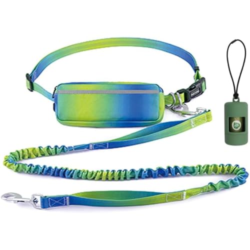 PINETAPIRS Verstellbare Taillenleine mit Reißverschlusstasche für Hunde, stoßdämpfende Bungee-Hundeleine, freihändig, 1,9 - 1,8 m lang, mit reflektierenden Nähten, breite gepolsterte Taille, von PINETAPIRS