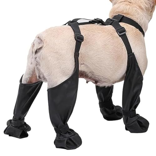 Hundestiefel und Pfotenschutz, Hundeschneestiefel for den Winter, Hundeschuhe for kleine Hunde, mittelgroße Hundestiefel, Haustierbedarf for den Winter, wasserdichte Hundeschuhe for große Hunde/1209 Hundestiefel und Pfotenschutz, Hundeschneestiefel for den Winter, Hundeschuhe for kleine Hunde, mittelgroße Hundestiefel, Haustierbedarf for den Winter, wasserdichte Hundeschuhe for große Hunde/1209 von PINFANSHIJIE