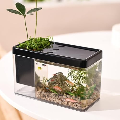 Neue Gold-Fischbox, Kleiner Aquariumständer, transparenter Stifthalter, Schreibwaren-Aufbewahrungsbox, kleine Öko-Box for den Schreibtisch, for das Büro, Landschaftsgestaltung, Fischzucht im Aquarium Neue Gold-Fischbox, Kleiner Aquariumständer, transparenter Stifthalter, Schreibwaren-Aufbewahrungsbox, kleine Öko-Box for den Schreibtisch, for das Büro, Landschaftsgestaltung, Fischzucht im Aquarium von PINFANSHIJIE