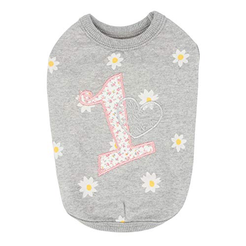 Pinkaholic New York NARA-TS7306 Hunde Bekleidung Amias, S, Melange grau von Pinkaholic New York