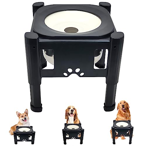 Auslaufsicherer Hundenapf, verstellbar, erhöhter Wassernapf, kein Spritzen, Anti-Verschütten, langsames Trinken, 3 Höhen erhöhter Wassernapf für Hunde, Katzen, Welpen und kleinere Katzen Auslaufsicherer Hundenapf, verstellbar, erhöhter Wassernapf, kein Spritzen, Anti-Verschütten, langsames Trinken, 3 Höhen erhöhter Wassernapf für Hunde, Katzen, Welpen und kleinere Katzen von PINVNBY