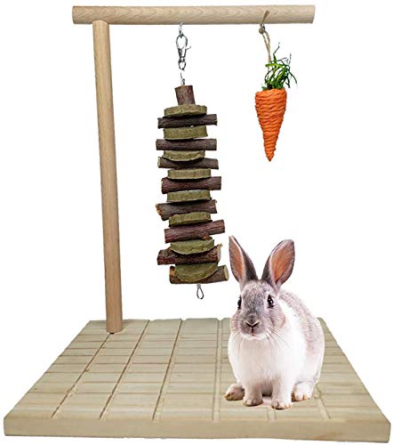 Kauspielzeug für Kaninchen Apfelholz Naturgras Kuchen Kaninchen Krallen Kratzbrett Hamster Holzschleifbrett mit Karotte für Chinchilla, Eichhörnchen Meerschweinchen 3 Stück von PINVNBY