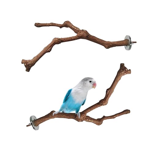 PINVNBY 2 x Holz-Sitzstangen für Vogelkäfig, natürlicher Papageienständer, Zweig, Sittich, Pfote, Schleifstäbe, stehend, Traubenstange für Lovebirds Wellensittiche, Nymphensittiche, Finken PINVNBY 2 x Holz-Sitzstangen für Vogelkäfig, natürlicher Papageienständer, Zweig, Sittich, Pfote, Schleifstäbe, stehend, Traubenstange für Lovebirds Wellensittiche, Nymphensittiche, Finken von PINVNBY