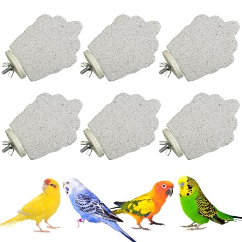 PINVNBY 6 Stück Vogelsitzstange, Papageienschnabel, Schleifstein, Kalzium, Mineral, Papageien-Sitzstange, Fußkrallen, Trimmer, Kauspielzeug, Vogelkäfig-Zubehör für kleine, mittelgroße Wellensittiche PINVNBY 6 Stück Vogelsitzstange, Papageienschnabel, Schleifstein, Kalzium, Mineral, Papageien-Sitzstange, Fußkrallen, Trimmer, Kauspielzeug, Vogelkäfig-Zubehör für kleine, mittelgroße Wellensittiche von PINVNBY