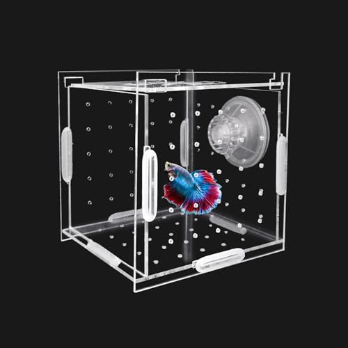 PINVNBY Acryl-Zucht-Isolationsbox – transparente Aquarium-Bruterie für Guppy/Garnelen/kleine Fische, sicheres Kinderzimmerbecken mit Luftschlauch und Saugnäpfen (9,9 cm × 9,9 cm × 9,9 cm) von PINVNBY