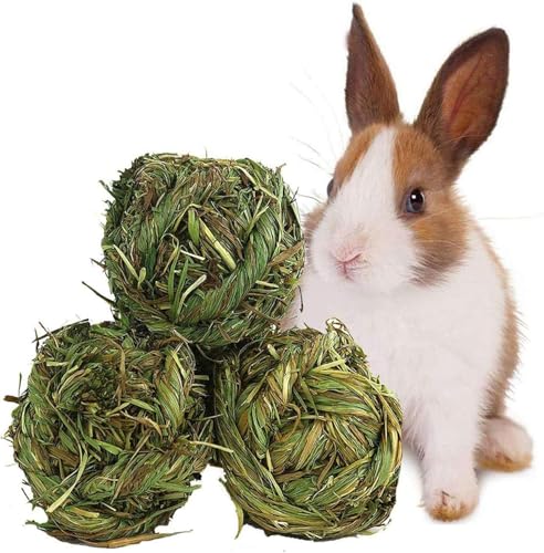 PINVNBY Das Kaninchen kaut bällen, das mäulchen mahlt kleine Tiere, während es Spielzeug den Hasen, den Hamster, den meerschweinchen kaut PINVNBY Das Kaninchen kaut bällen, das mäulchen mahlt kleine Tiere, während es Spielzeug den Hasen, den Hamster, den meerschweinchen kaut von PINVNBY