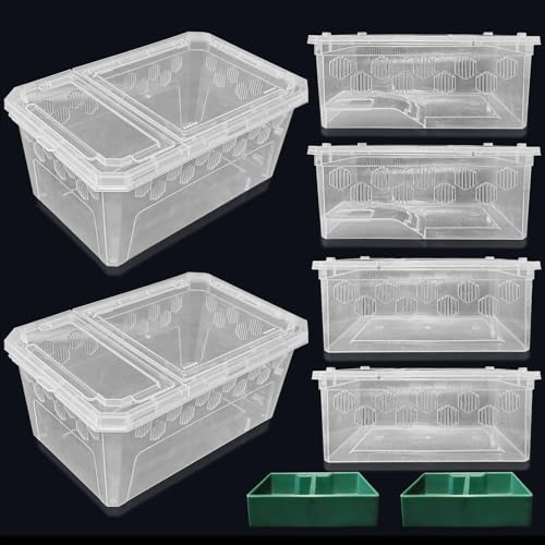 PINVNBY Futterbox für Reptilien, Schlangenzuchtbox, Eidechse, Cricketkäfig, Lebensraum, Schlüpfbehälter, transparent, tragbar, Tierhalter für Spinnen, Skorpion, Gecko, Schildkröte, Baumfrosch, 6 Stück von PINVNBY