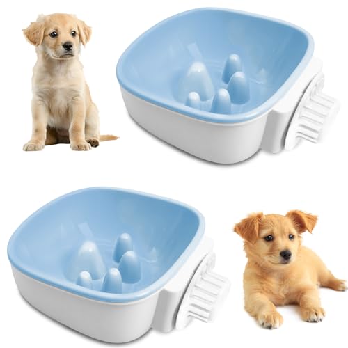 PINVNBY Futternapf für Hunde, abnehmbarer Futternapf, Futter- und Wassernapf, für Welpen, Katzen, Kaninchen, Meerschweinchen, 2 Stück, Blau PINVNBY Futternapf für Hunde, abnehmbarer Futternapf, Futter- und Wassernapf, für Welpen, Katzen, Kaninchen, Meerschweinchen, 2 Stück, Blau von PINVNBY